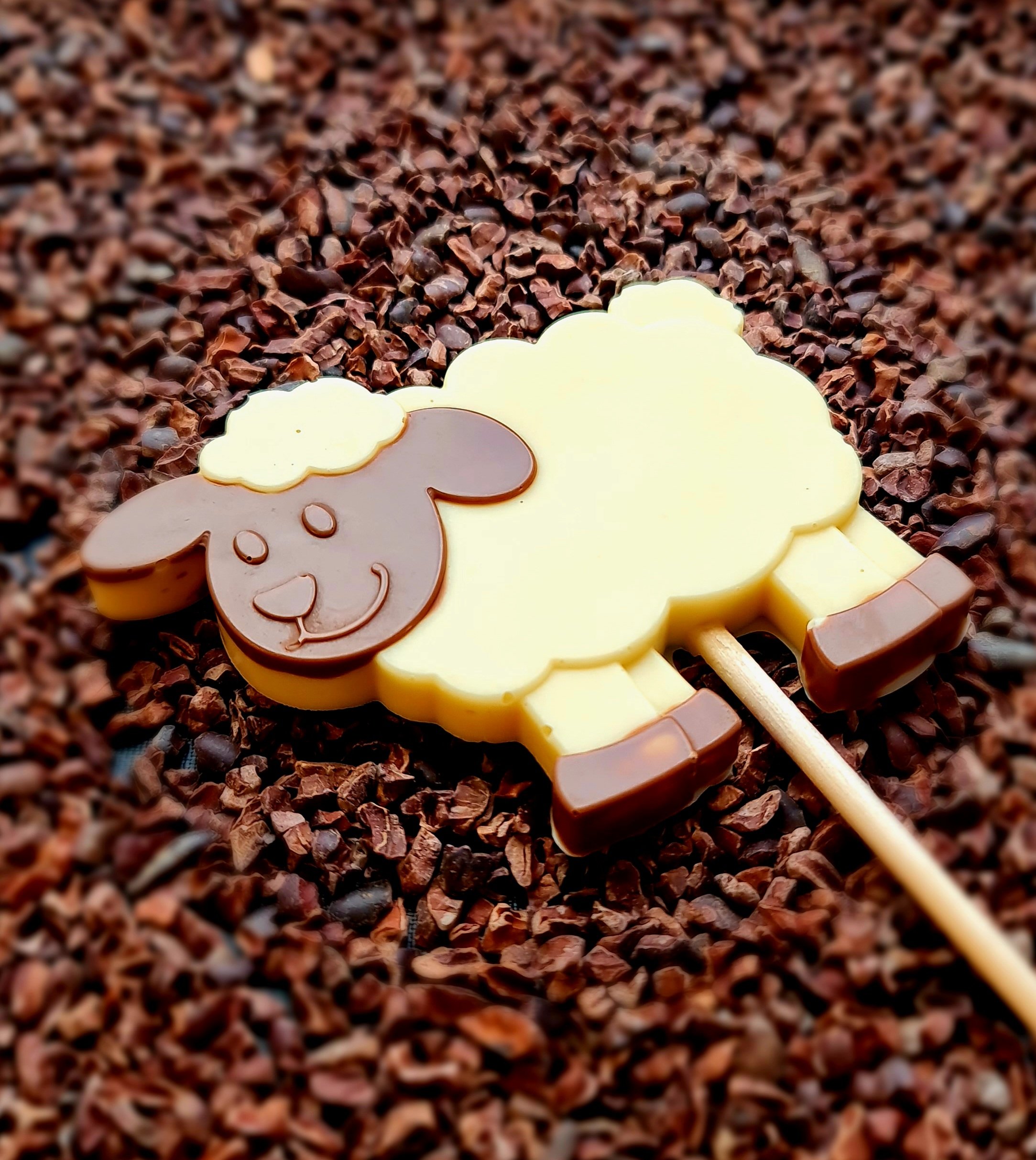 chocolate sheep
