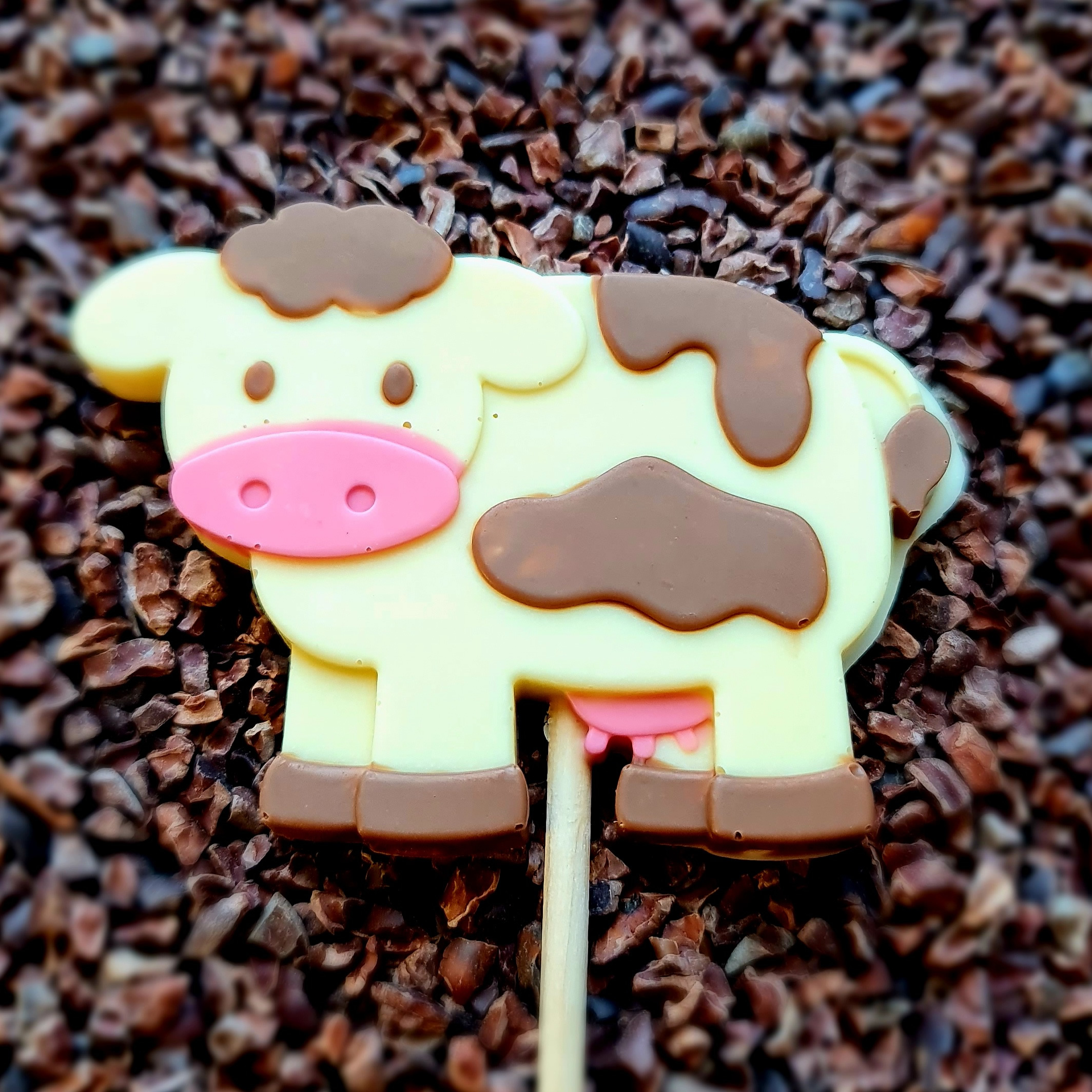 chocolate cow