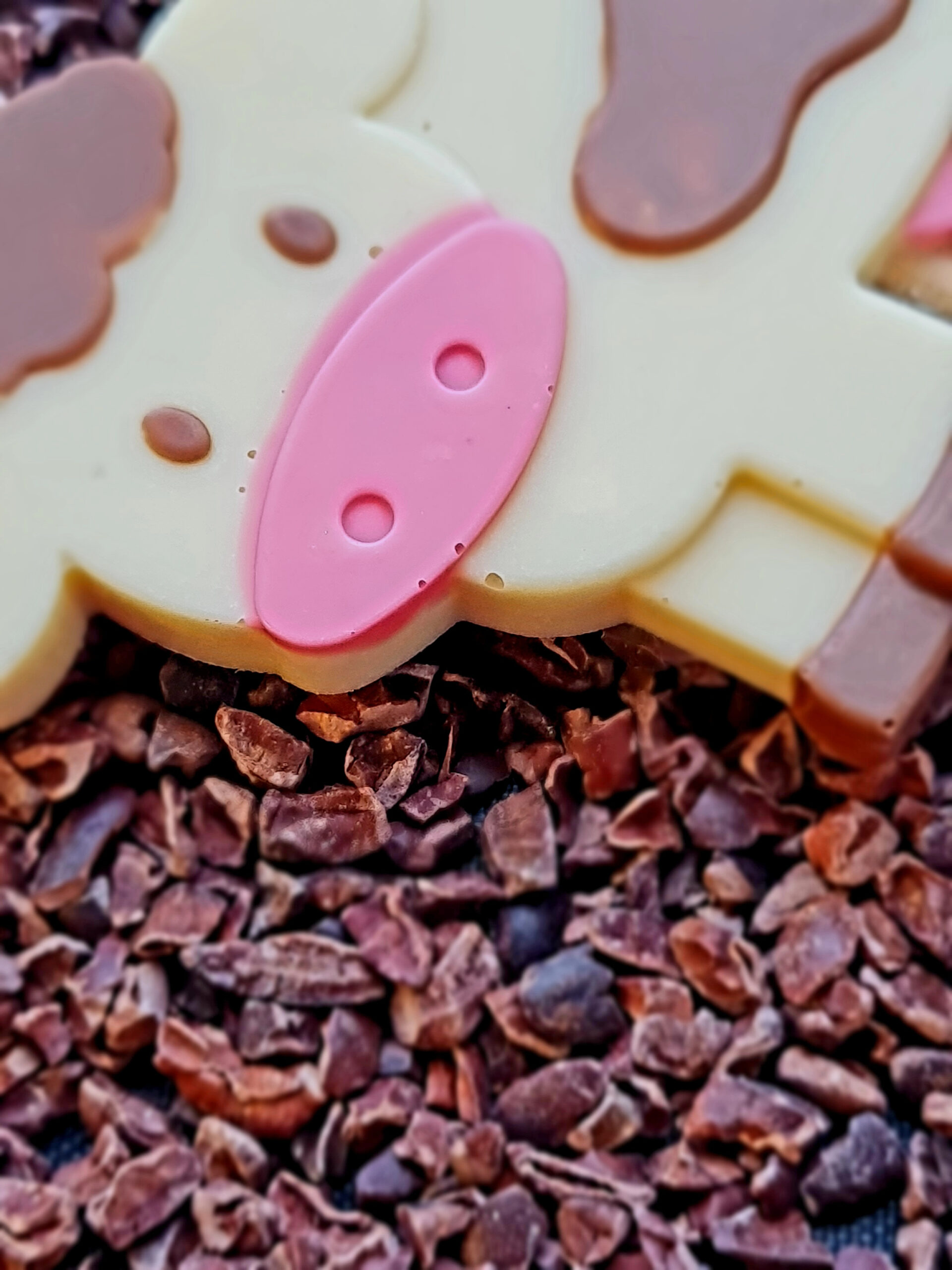 chocolate cow