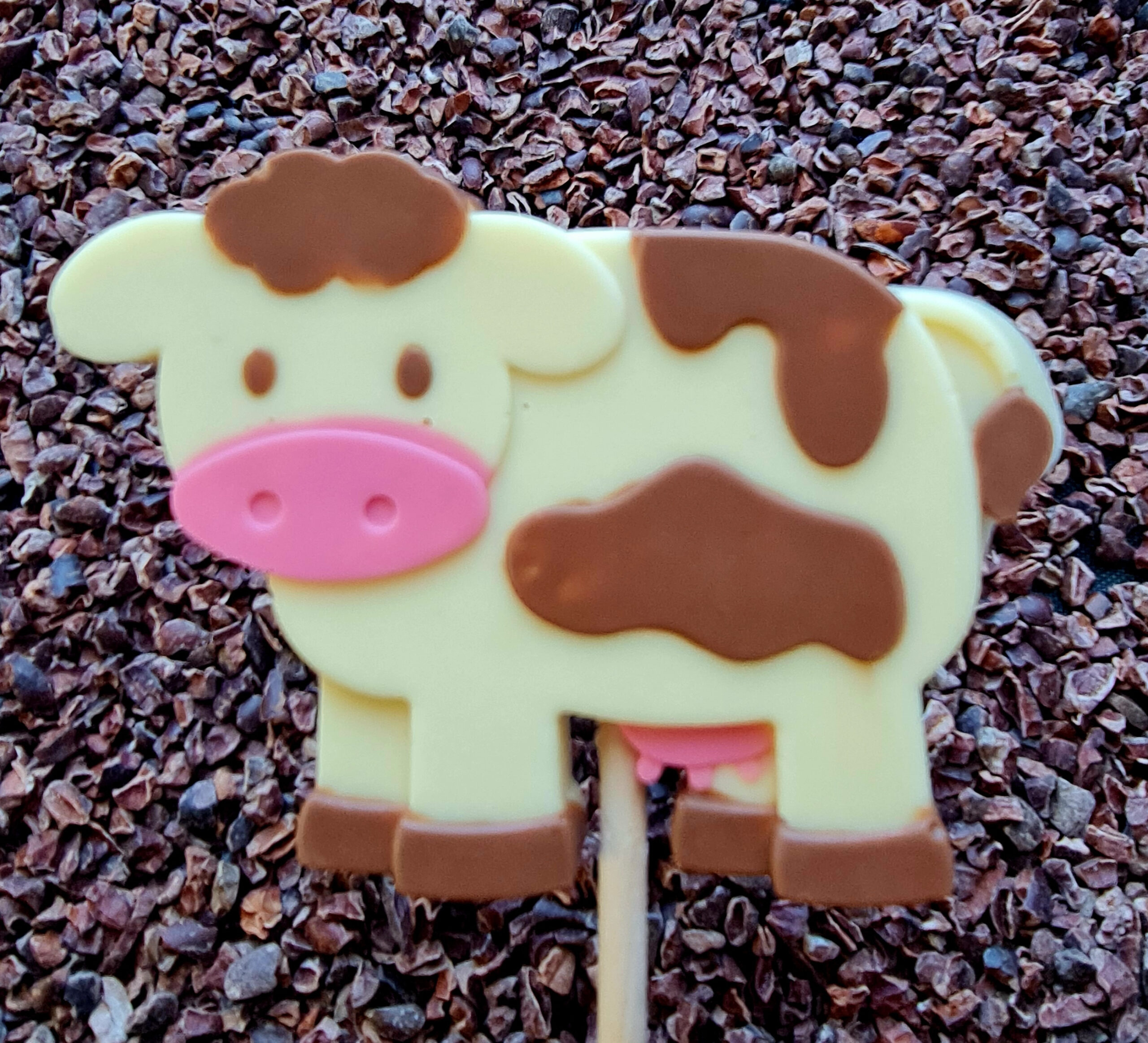 chocolate cow