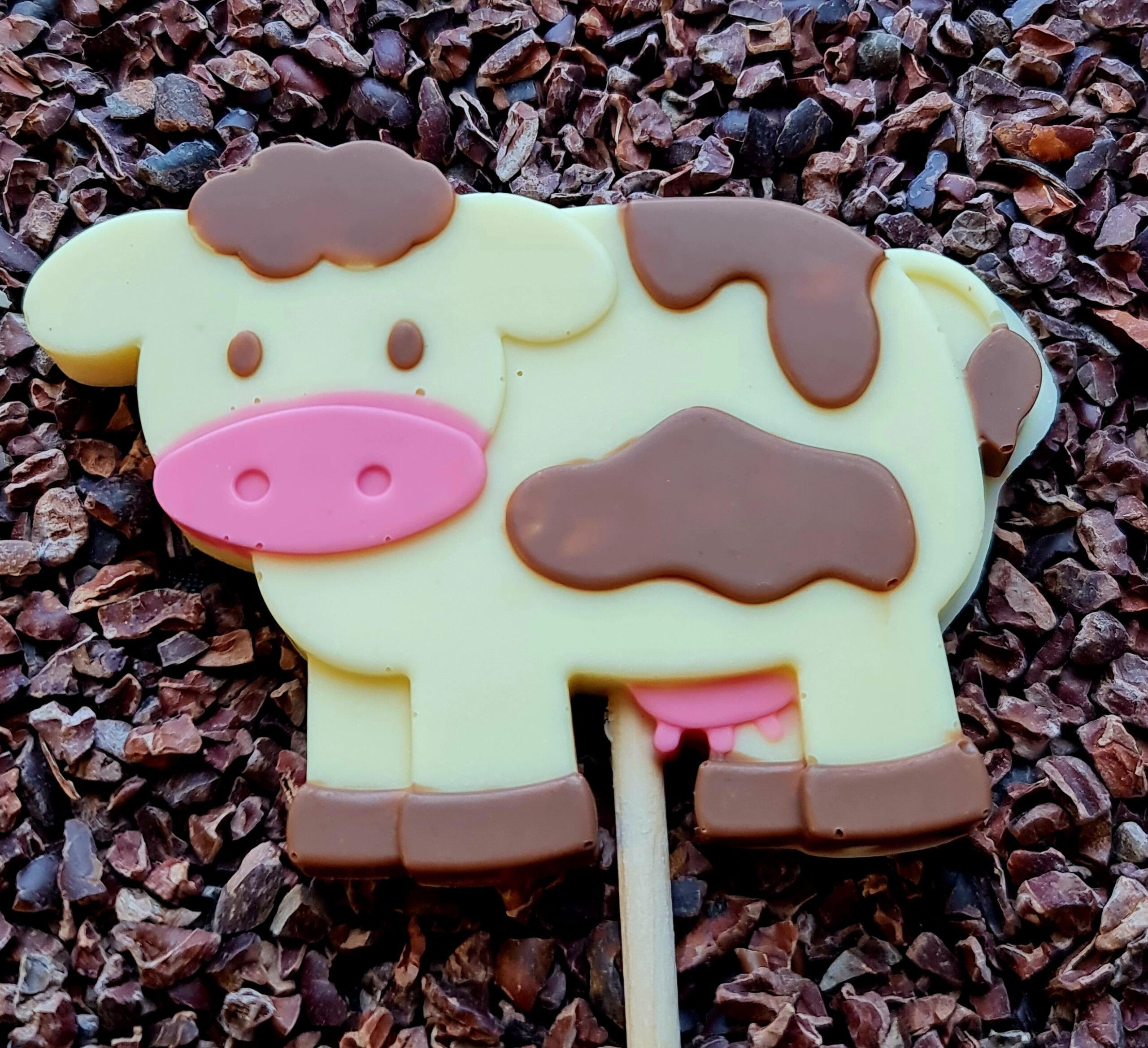 chocolate cow