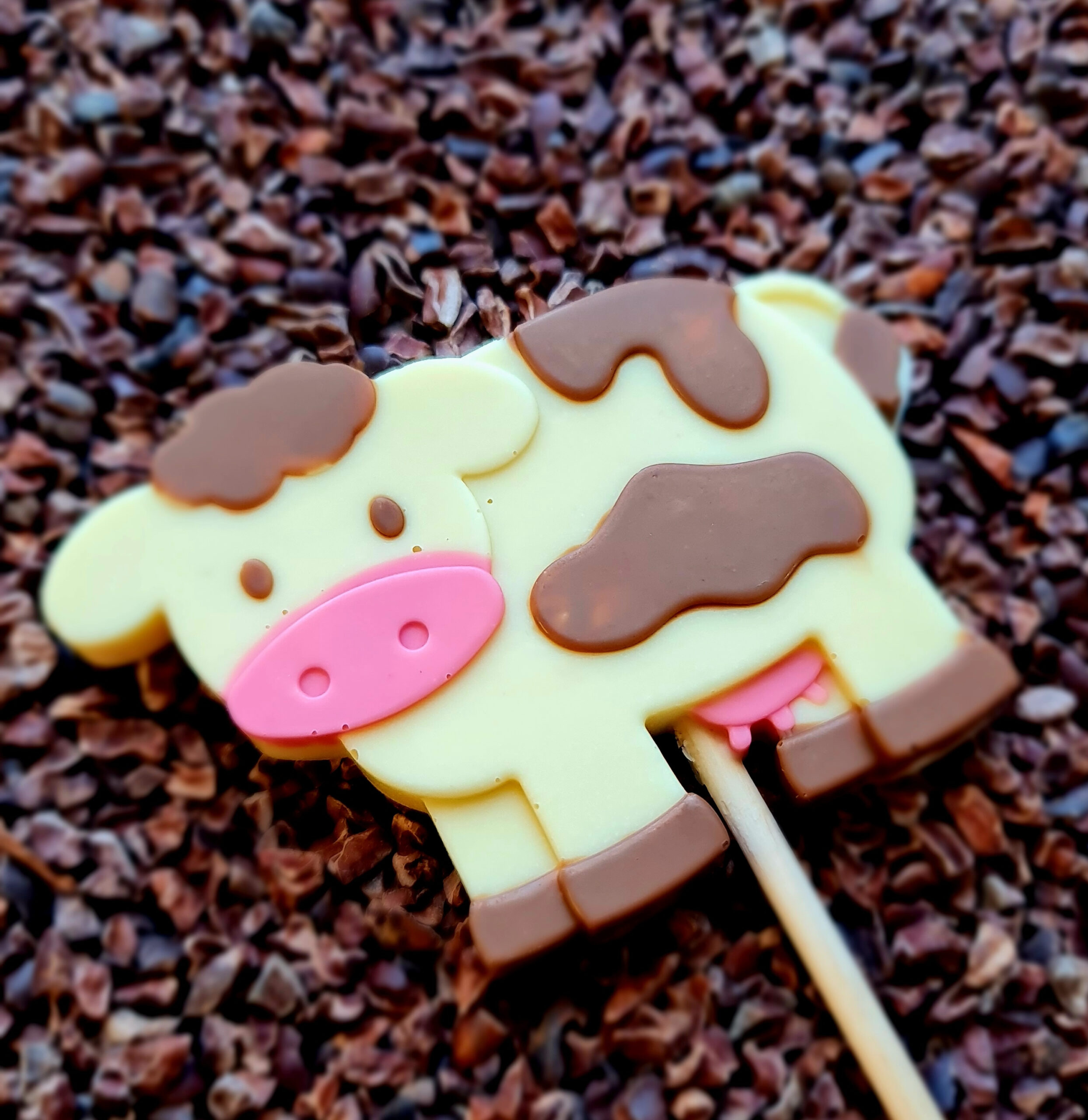 chocolate cow